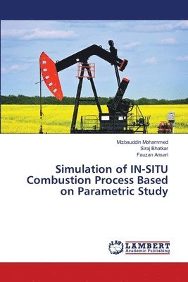 Simulation of IN-SITU Combustion Process Based on Parametric Study 1