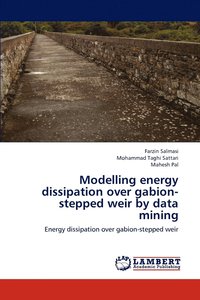 bokomslag Modelling energy dissipation over gabion-stepped weir by data mining