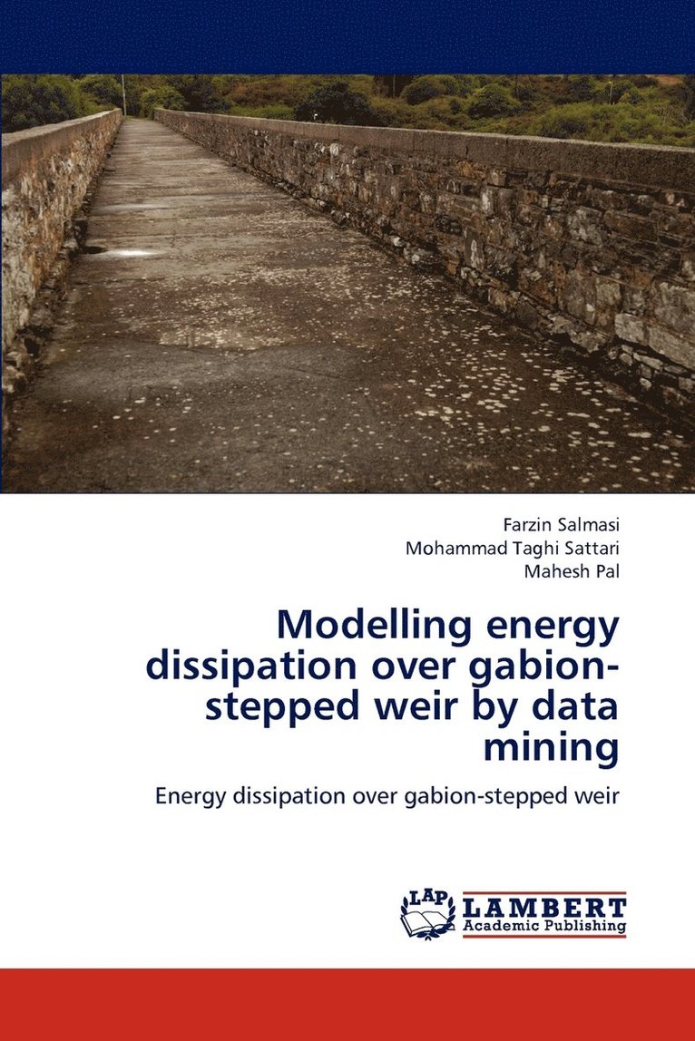 Modelling energy dissipation over gabion-stepped weir by data mining 1