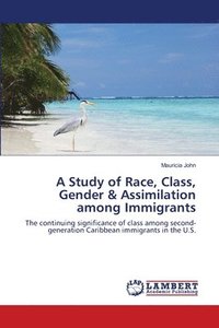 bokomslag A Study of Race, Class, Gender & Assimilation among Immigrants