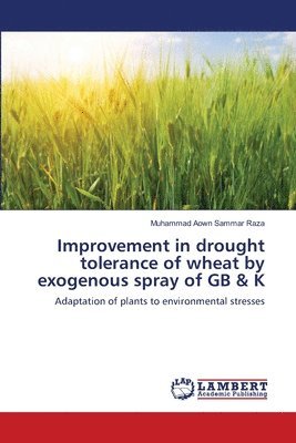 Improvement in drought tolerance of wheat by exogenous spray of GB & K 1