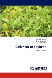 bokomslag Collar Rot of Soybean