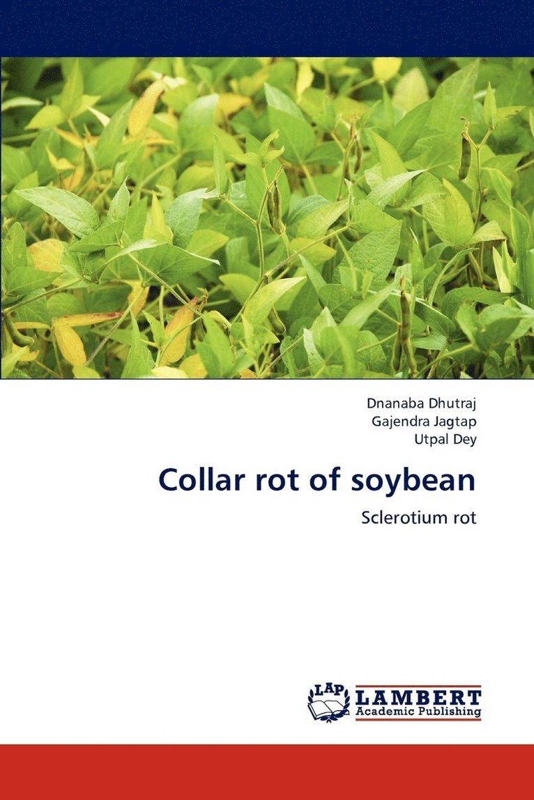 Collar Rot of Soybean 1