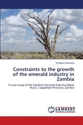 Constraints to the growth of the emerald industry in Zambia 1