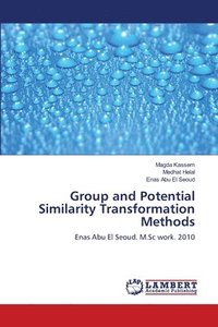 bokomslag Group and Potential Similarity Transformation Methods