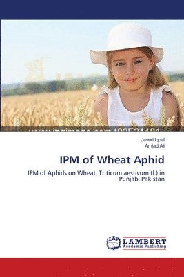 IPM of Wheat Aphid 1