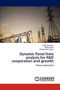 bokomslag Dynamic Panel Data Analysis for R&d Cooperation and Growth