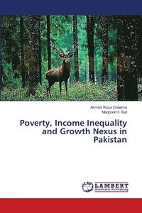 bokomslag Poverty, Income Inequality and Growth Nexus in Pakistan