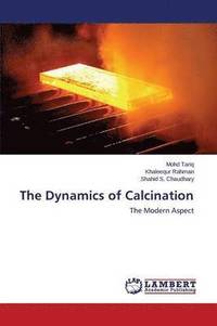 bokomslag The Dynamics of Calcination