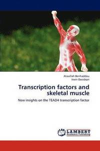 bokomslag Transcription Factors and Skeletal Muscle