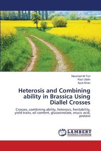bokomslag Heterosis and Combining ability in Brassica Using Diallel Crosses