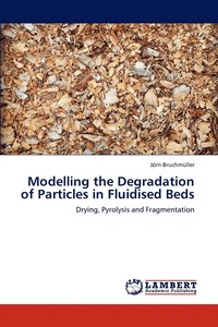 bokomslag Modelling the Degradation of Particles in Fluidised Beds
