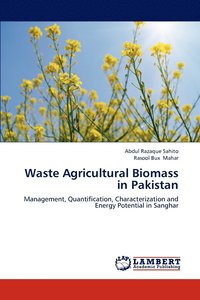 bokomslag Waste Agricultural Biomass in Pakistan