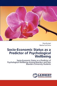bokomslag Socio-Economic Status as a Predictor of Psychological Wellbeing