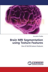 bokomslag Brain MRI Segmentation using Texture Features