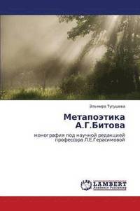 bokomslag Metapoetika A.G.Bitova