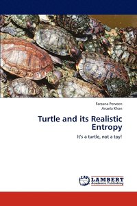 bokomslag Turtle and its Realistic Entropy