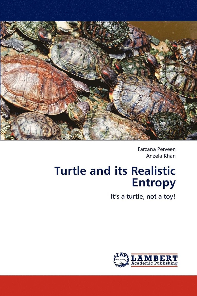 Turtle and its Realistic Entropy 1