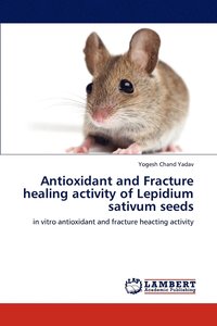 bokomslag Antioxidant and Fracture healing activity of Lepidium sativum seeds