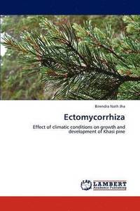 bokomslag Ectomycorrhiza