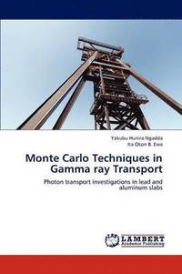 bokomslag Monte Carlo Techniques in Gamma ray Transport