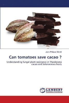 Can tomatoes save cacao ? 1