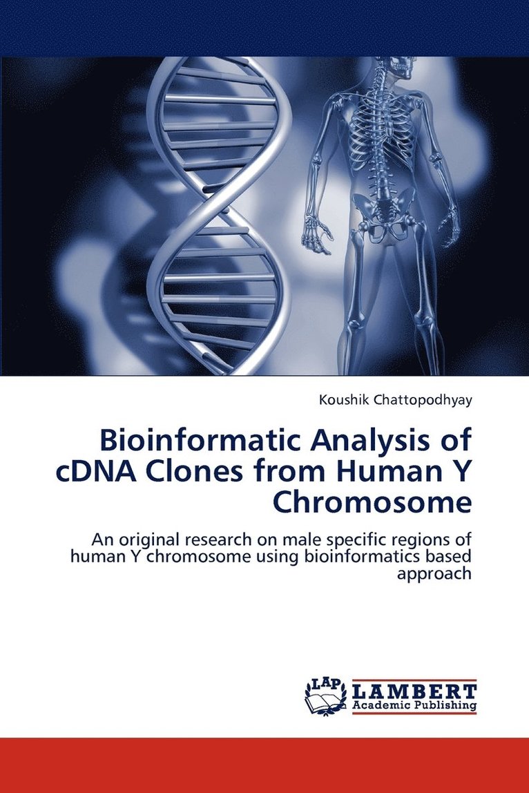 Bioinformatic Analysis of cDNA Clones from Human Y Chromosome 1