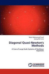 bokomslag Diagonal Quasi-Newton's Methods