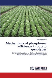 bokomslag Mechanisms of phosphorus efficiency in potato genotypes