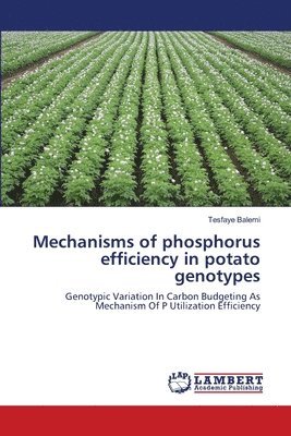 Mechanisms of phosphorus efficiency in potato genotypes 1