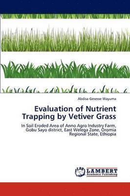 bokomslag Evaluation of Nutrient Trapping by Vetiver Grass