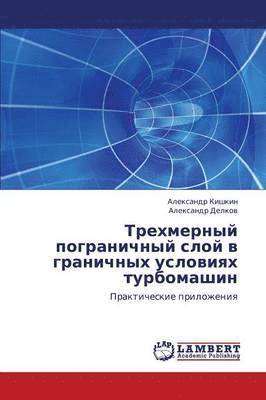 bokomslag Trekhmernyy Pogranichnyy Sloy V Granichnykh Usloviyakh Turbomashin