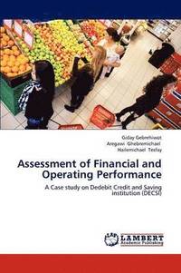 bokomslag Assessment of Financial and Operating Performance