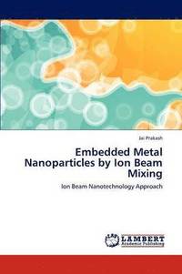 bokomslag Embedded Metal Nanoparticles by Ion Beam Mixing
