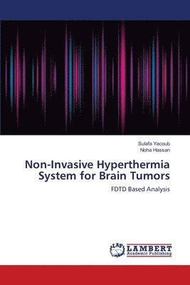 Non-Invasive Hyperthermia System for Brain Tumors 1