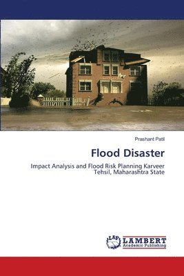 Flood Disaster 1