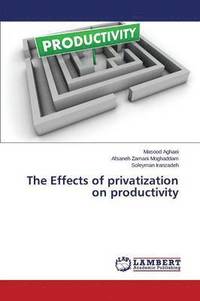 bokomslag The Effects of Privatization on Productivity