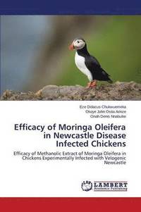 bokomslag Efficacy of Moringa Oleifera in Newcastle Disease Infected Chickens