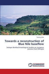 bokomslag Towards a reconstruction of Blue Nile baseflow