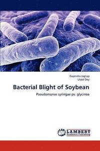 bokomslag Bacterial Blight of Soybean