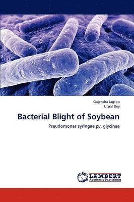 Bacterial Blight of Soybean 1