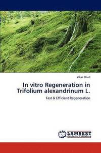 bokomslag In vitro Regeneration in Trifolium alexandrinum L.