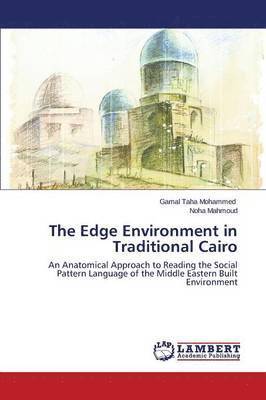 The Edge Environment in Traditional Cairo 1