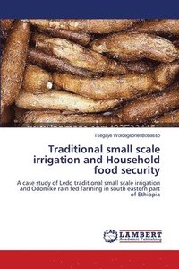 bokomslag Traditional small scale irrigation and Household food security
