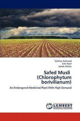 bokomslag Safed Musli (Chlorophytum borivilianum)