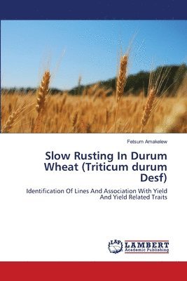 bokomslag SLOW RUSTING IN DURUM WHEAT (Triticum durum Desf.)