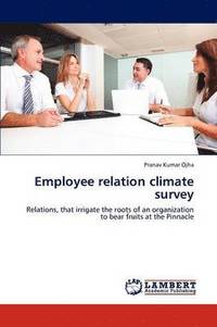 bokomslag Employee relation climate survey