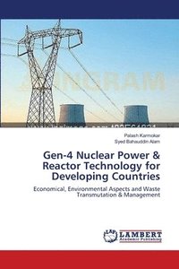 bokomslag Gen-4 Nuclear Power & Reactor Technology for Developing Countries