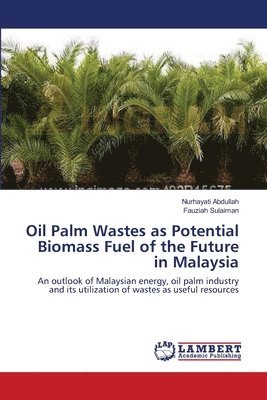 bokomslag Oil Palm Wastes as Potential Biomass Fuel of the Future in Malaysia