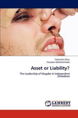 bokomslag Asset or Liability?